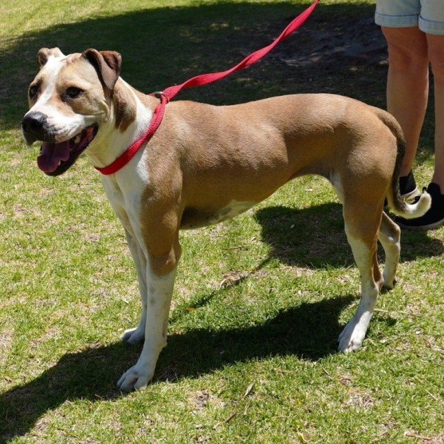 Photo of Wilma
