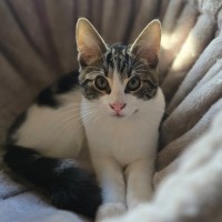 Photo of Benson