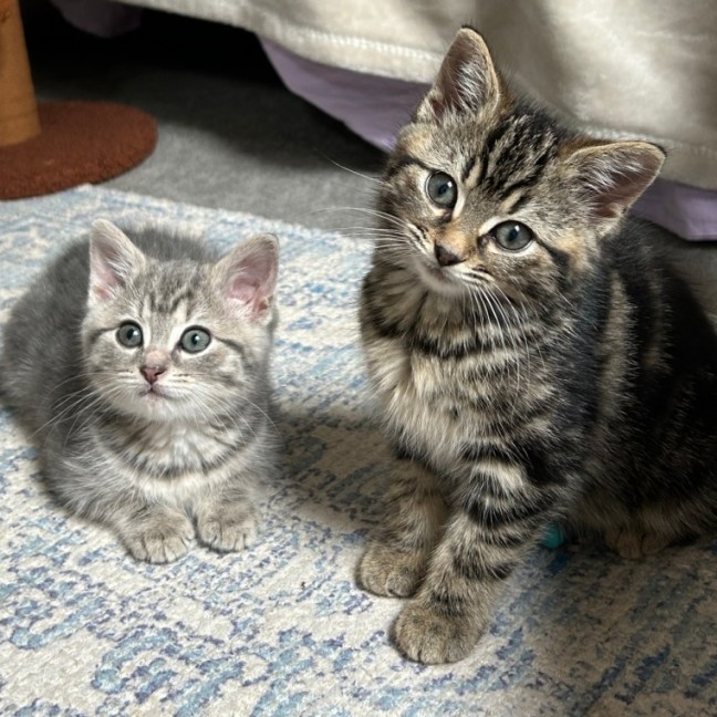 Photo of Pecan And Pistachio