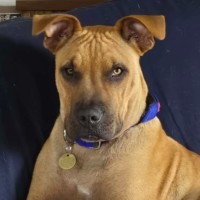 Photo of Colter