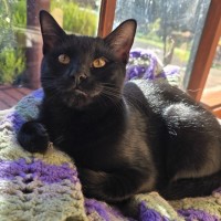 Photo of Talli