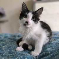 Photo of Sprout & Ferny (Located In Croydon South)