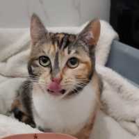 Photo of Buttons & Charlie