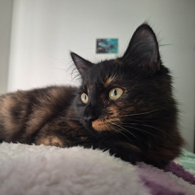 Photo of Clara