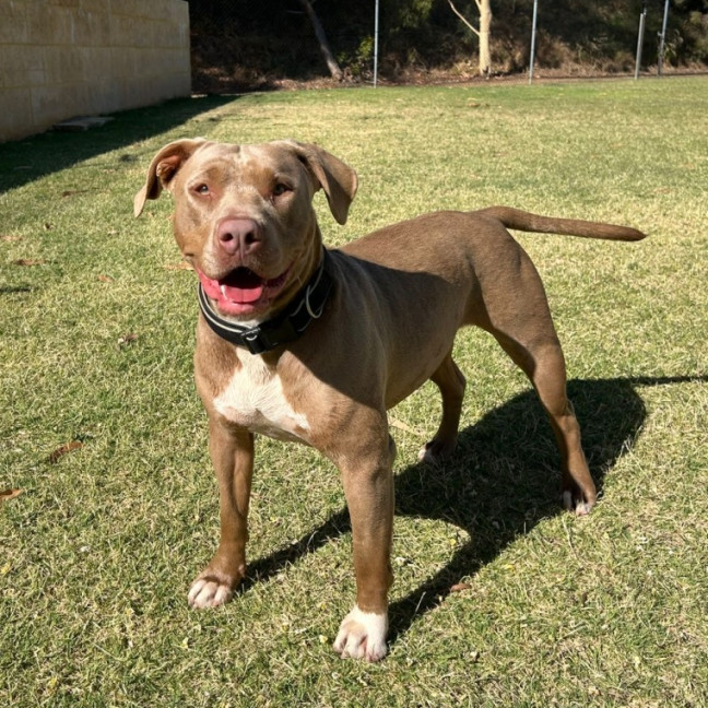 Photo of Luna