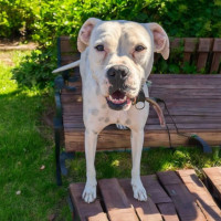 Photo of Luna
