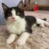 Photo of Cleopatra