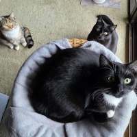 Photo of Lotus & Sage