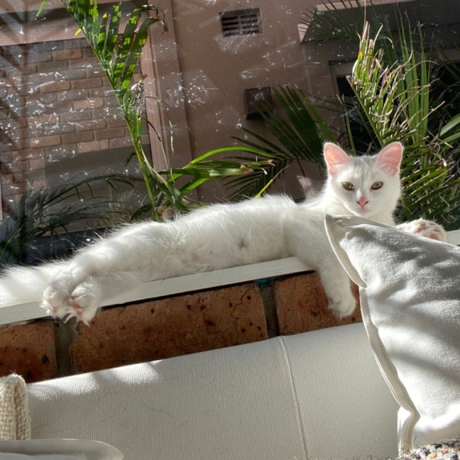 Photo of Bridgit Jones 