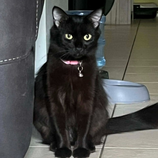 Photo of Kimmi ♥️
