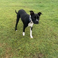 Photo of Maggie 