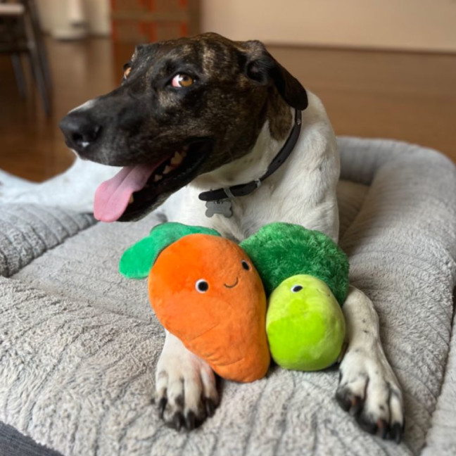 Photo of 💗 Sally 💗