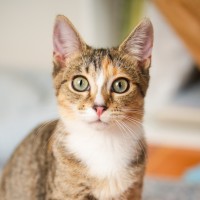 Photo of Elsie