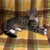 Photo of Chad   Meet Me @ Petstock Prahran 29/3!