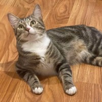 Photo of Cruze