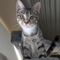 Photo of Poppy & Pepper