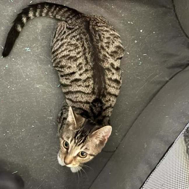 Photo of Taylor (Tay Tay)