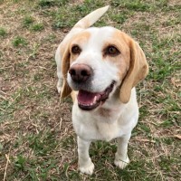 Photo of Enzo And Mia