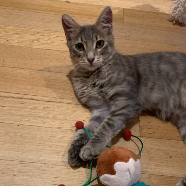 Photo of Phineas & Foxy