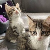 Photo of 😄 Marty 😄