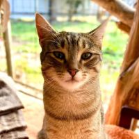 Photo of Robbie. Sweet Little Guy <3