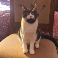 Photo of Dottie
