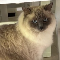 Photo of Princess 👑🌸