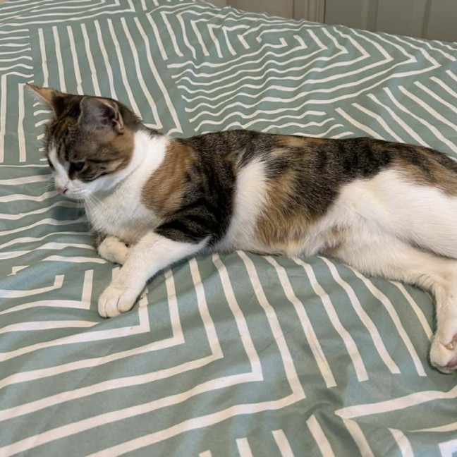 Photo of Lucy