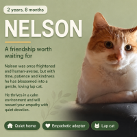 Photo of Nelson