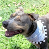 Photo of Mj (Martha Jane)