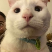 Photo of 🩵🤍Indiana Jones🤍🩵