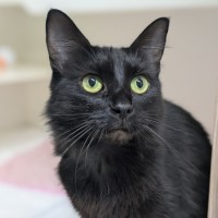 Photo of 🍓 Miriam 5923 🍓