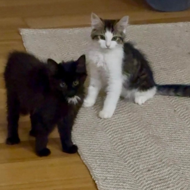 Photo of Orlando And Clem 