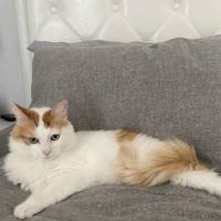 Photo of Wiggles 🐛