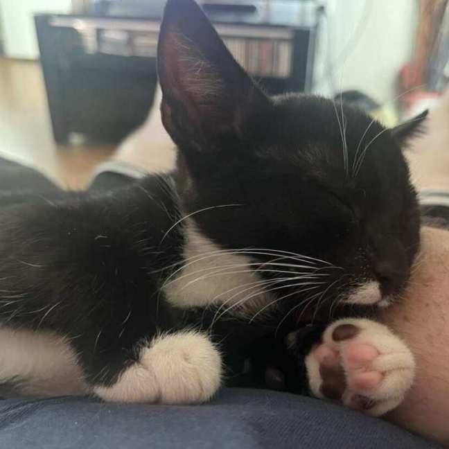 Photo of Max And Oliver