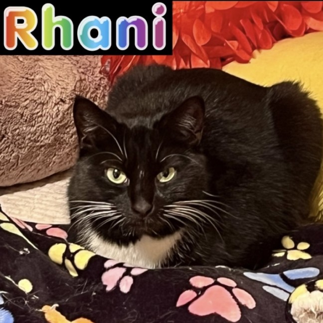 Photo of Rhani