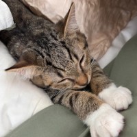 Photo of Boots