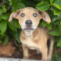 Photo of Payton ⭐️🌈🦋