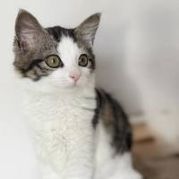 Photo of 🧚Elfina🧚‍♂️