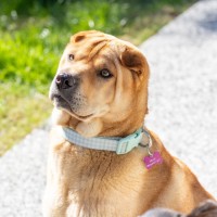 Photo of Molly & Sid