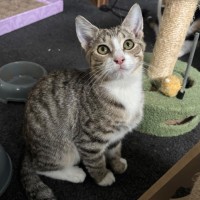 Photo of Clara