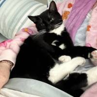 Photo of 🖤 Suki 🖤