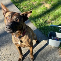 Photo of Cocobella