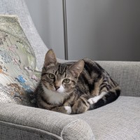 Photo of Bean