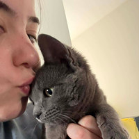 Photo of Nido Queen **2nd Chance Rescue**