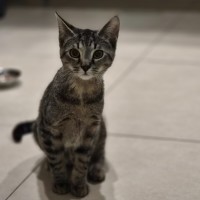 Photo of Chanel