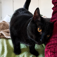 Photo of Precious