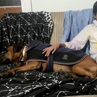 Photo of Allie & Skye