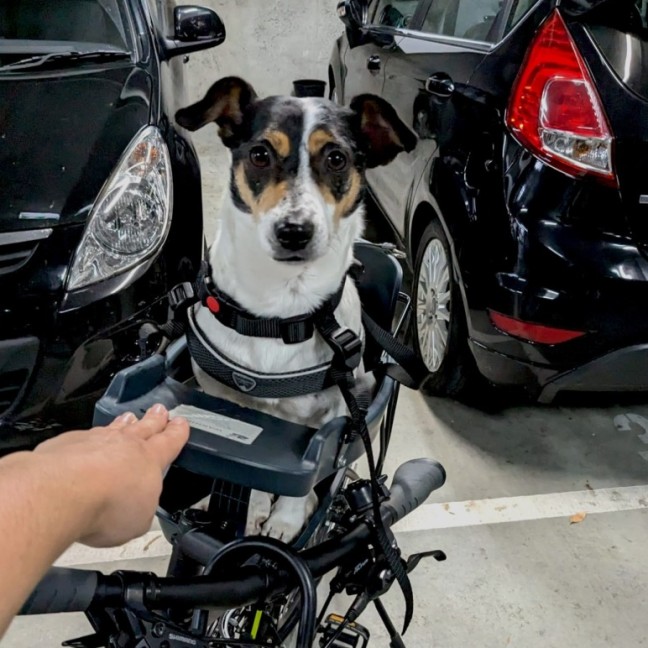 Photo of Giuseppe (Pep/Pepino/Pepe)