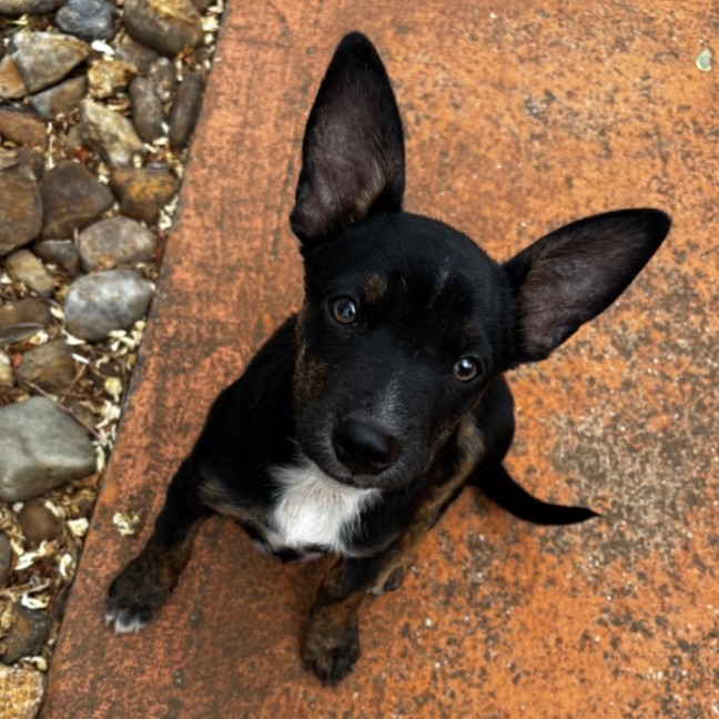 Photo of Slider
